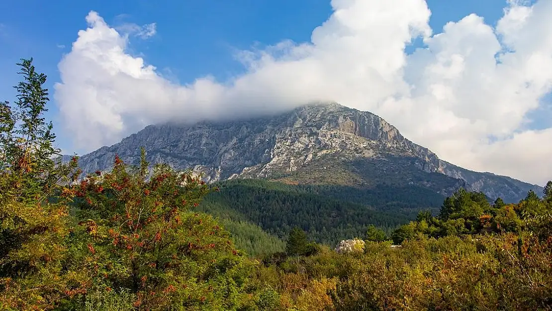 Spil için müjdeli haber