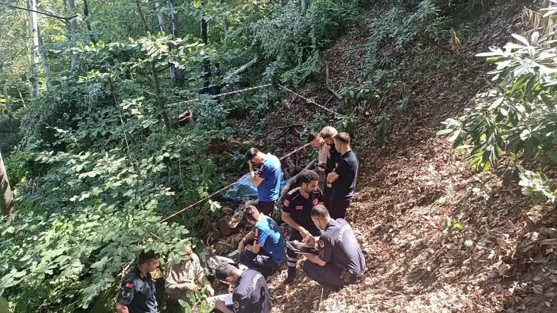 Talihsiz kaza: Kestiği ağaç sonu oldu