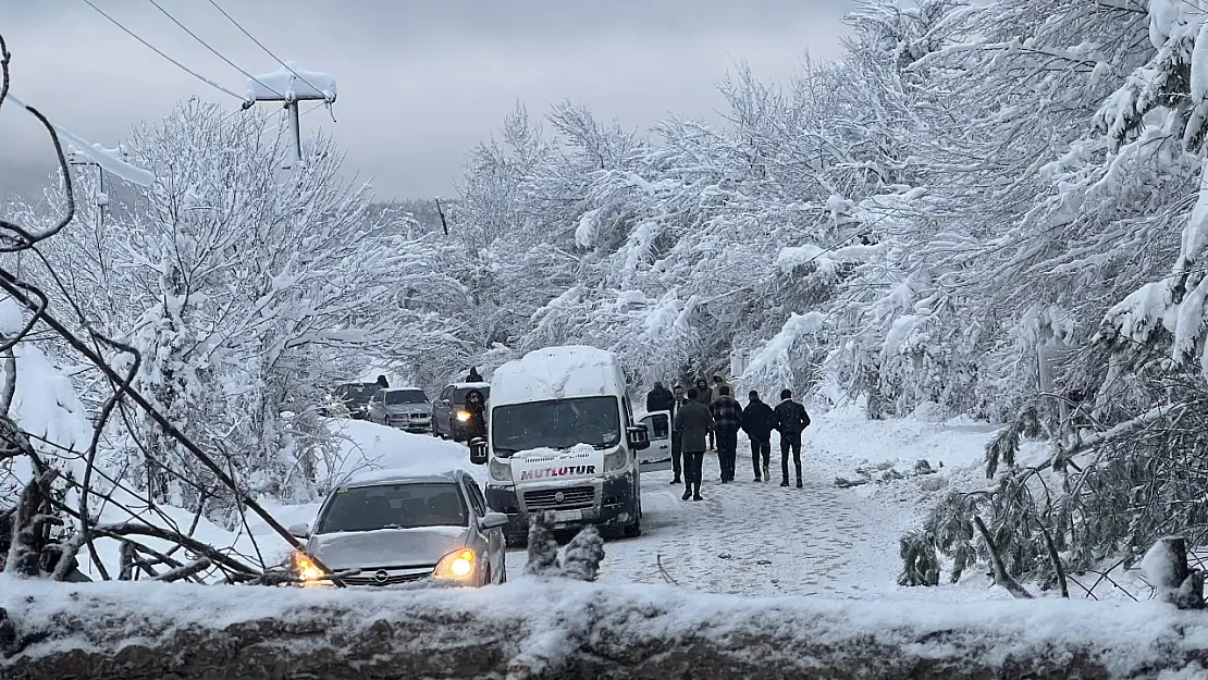 Tatilciler Abant yolunda mahsur kaldılar: Nedeni ise kar değildi!