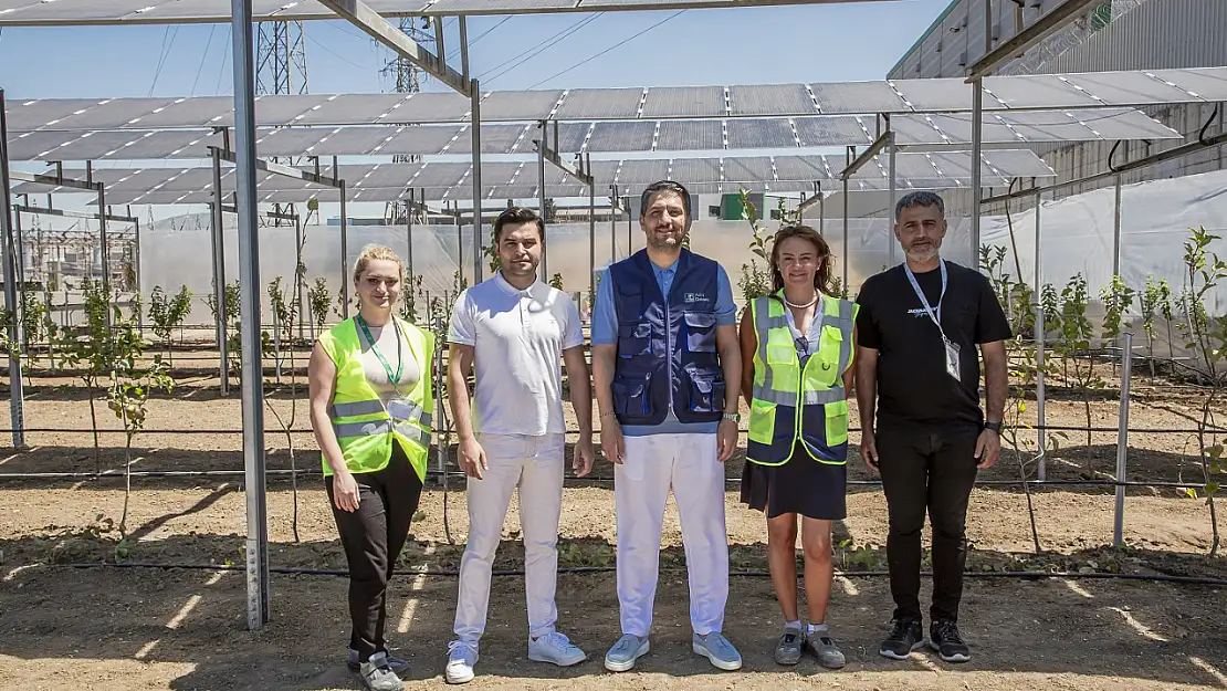 Temiz enerjinin gölgesinde tarım