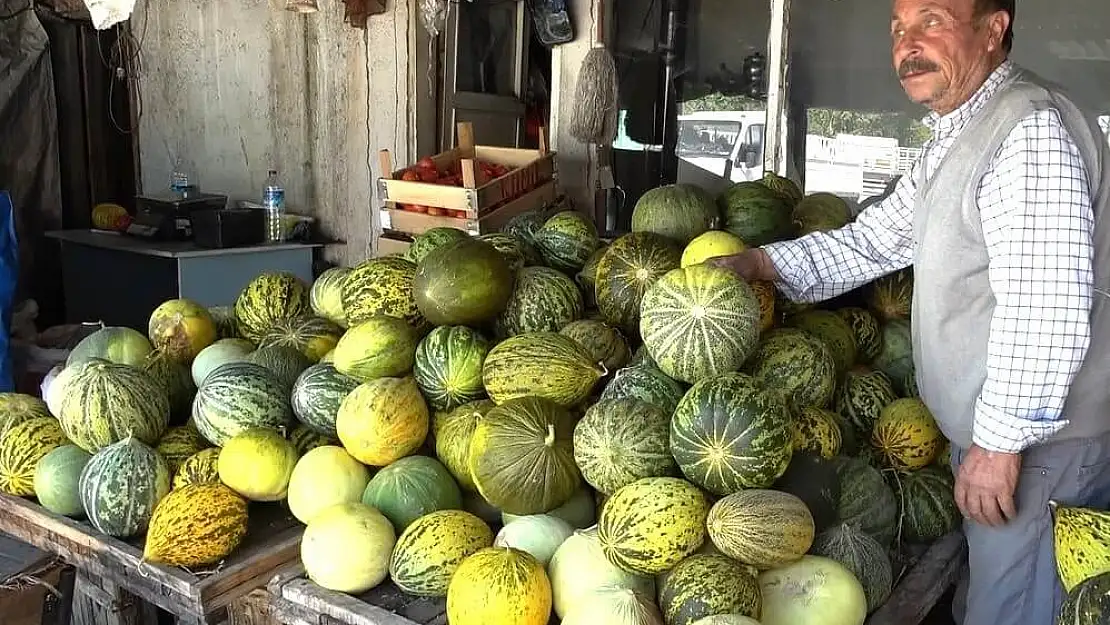 Terziler kavunu tezgahlardaki yerini aldı