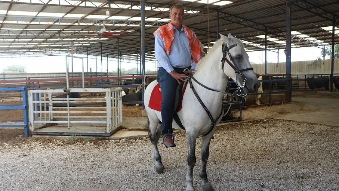 Tire’de rahvan at yarışı heyecanı yaşanacak