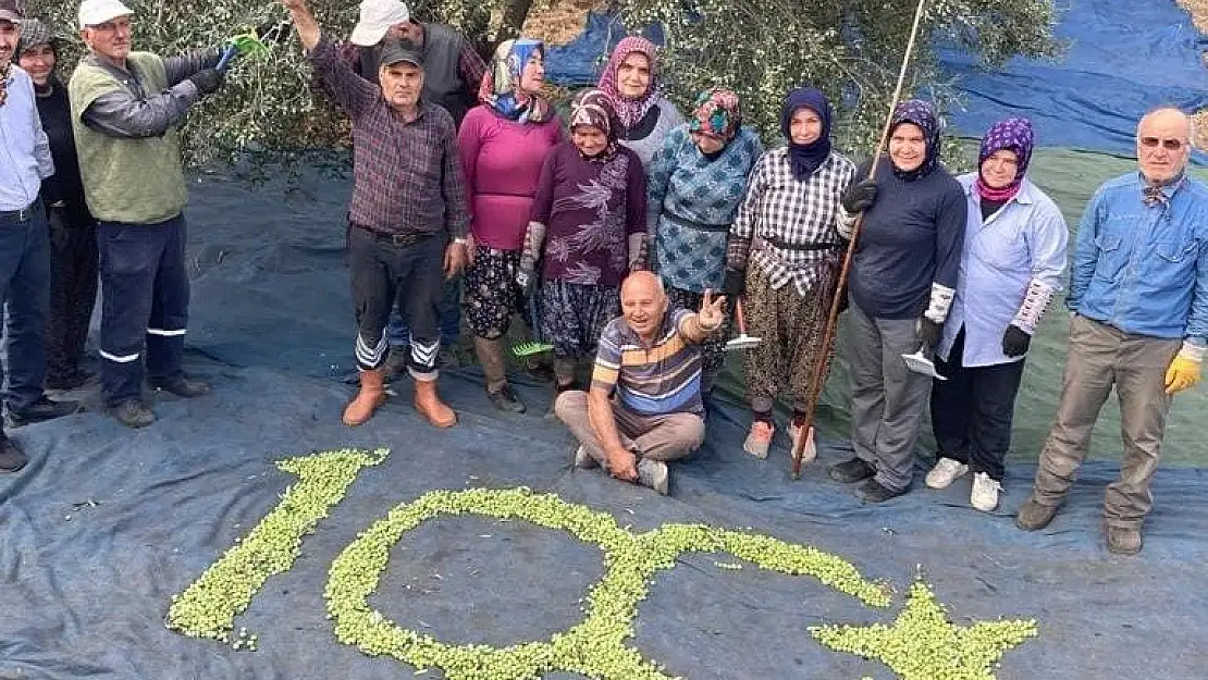 Topladıkları zeytinlerden 100. Yıl logosu yaptılar