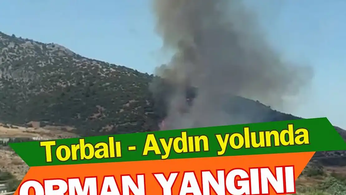 Torbalı- Aydın yolunda yangın!