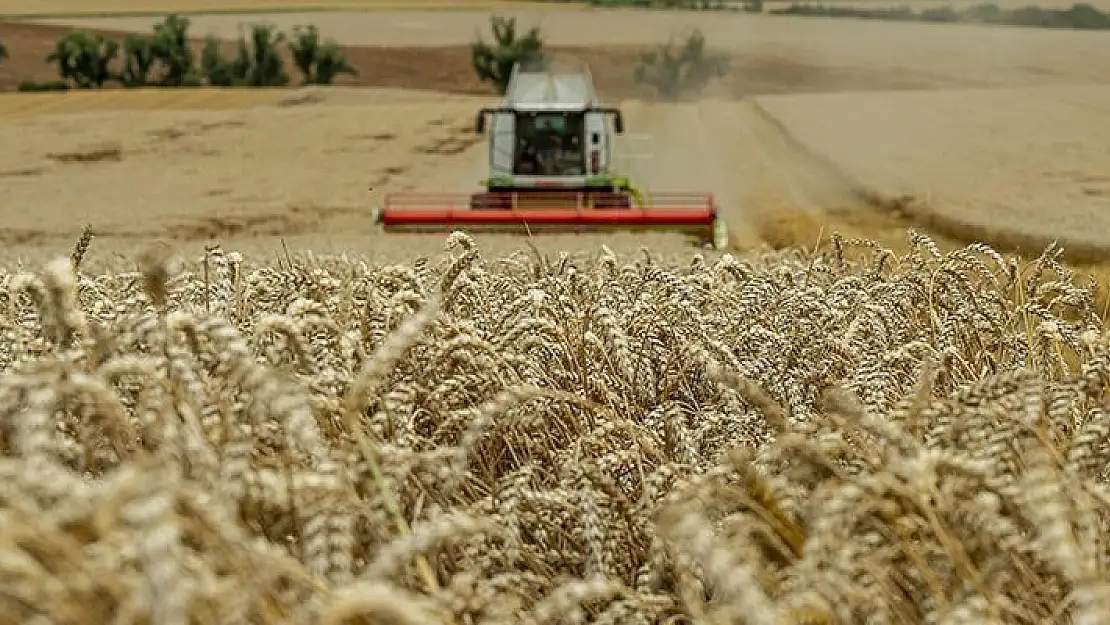 Torbalı çiftçisi hasat için gün sayıyor