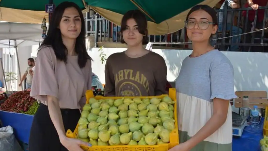 Torbalı'da bardacık inciri festivali düzenlenecek