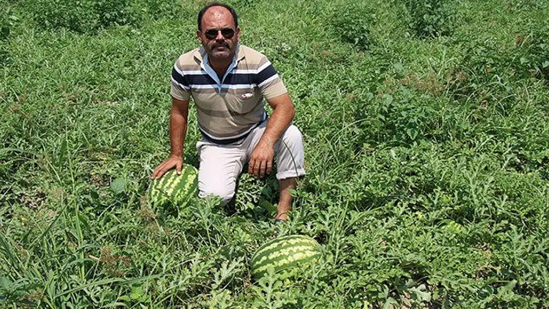 Torbalı karpuzu yakında Ceyhan karpuzuna rakip olacak