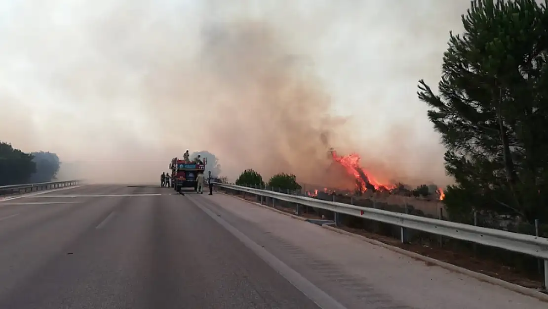 Torbalı otobanda yangın paniği