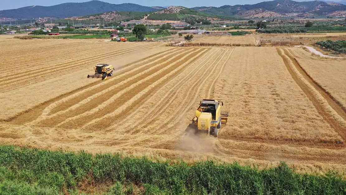 Torbalı’da buğday hasadı yapıldı