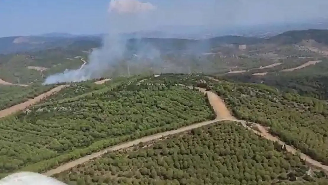 Torbalı’da çıkan yangın kontrol altına alındı