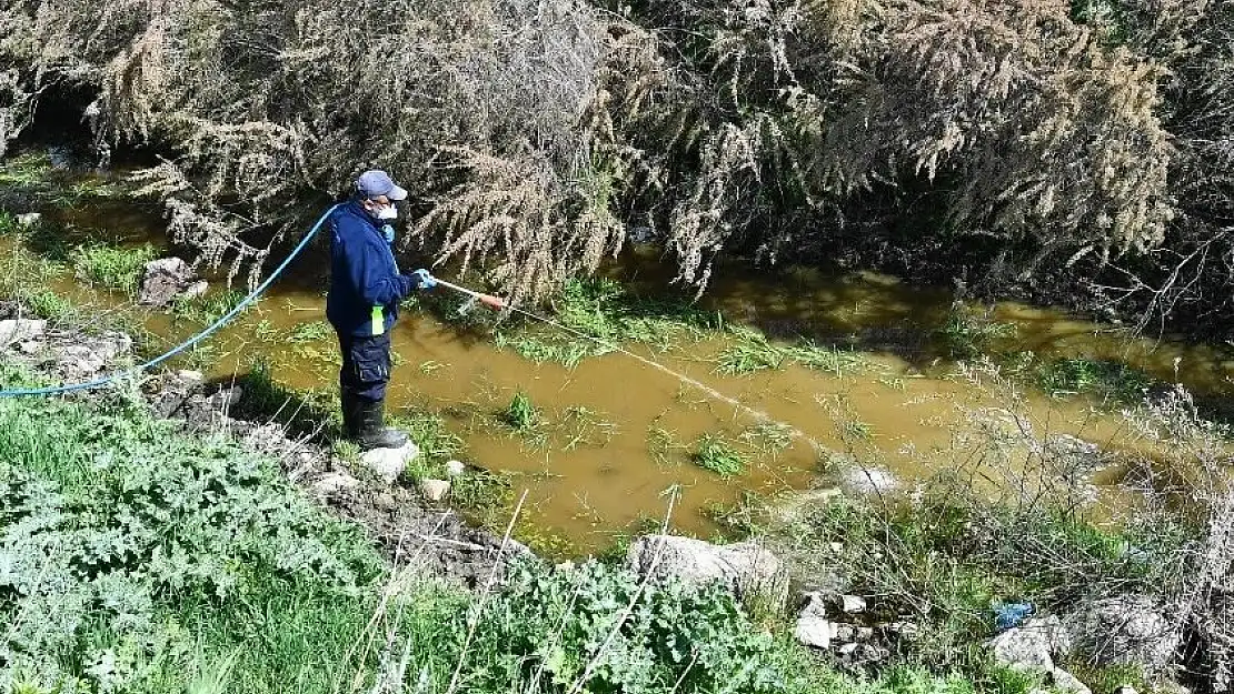 Torbalı'da ilaçlama seferberliği…