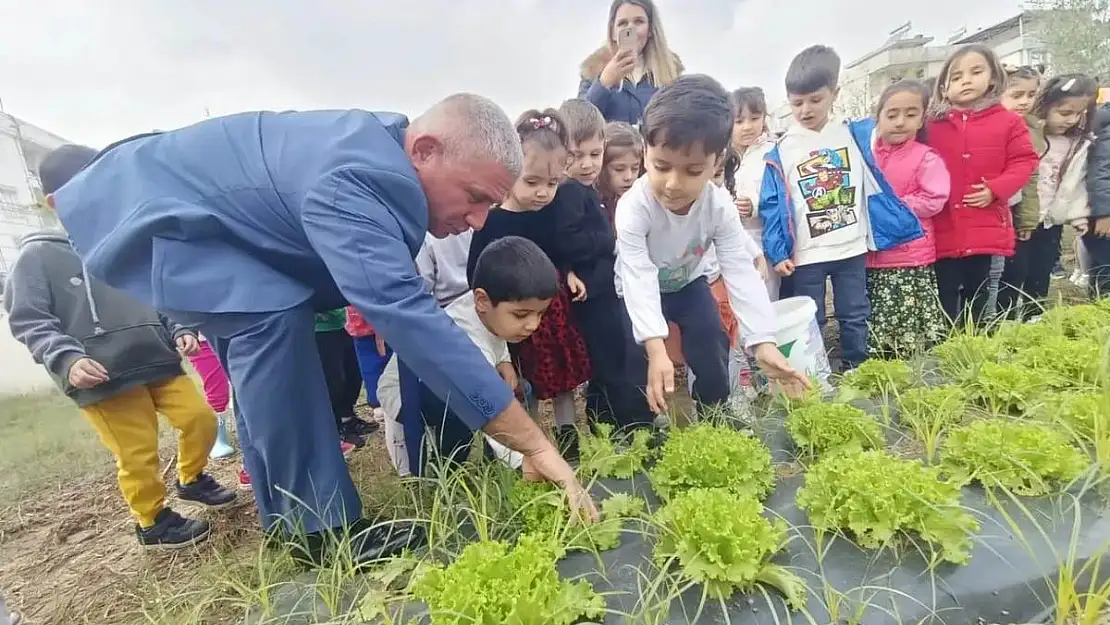 Torbalı’da minik öğrenciler hasat yaptı