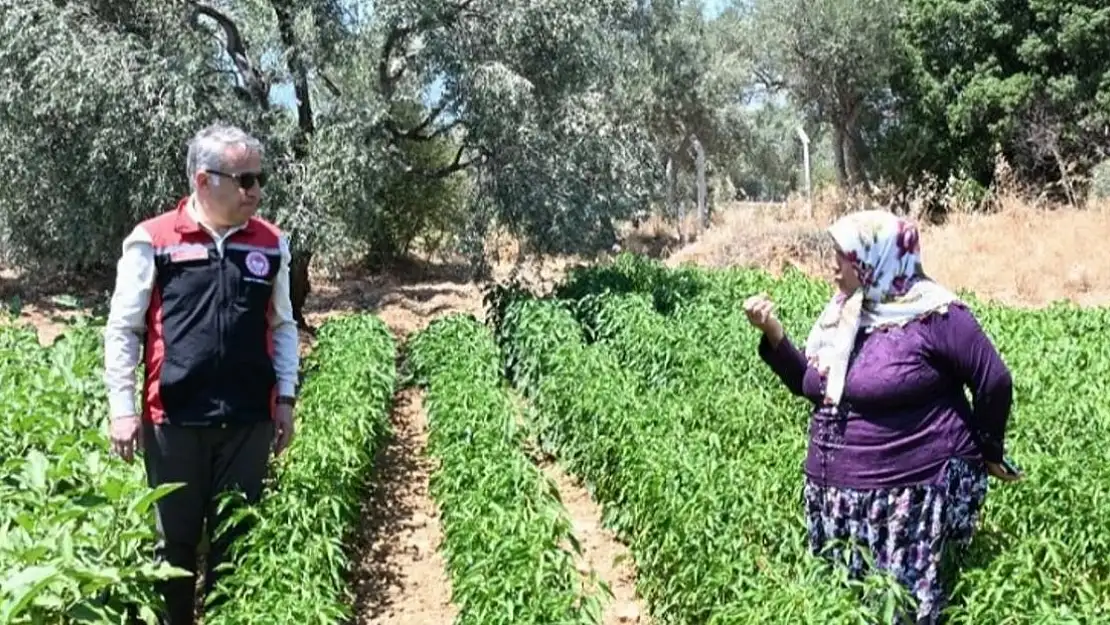 Torbalı’da TAKE projesi meyvelerini vermeye başladı