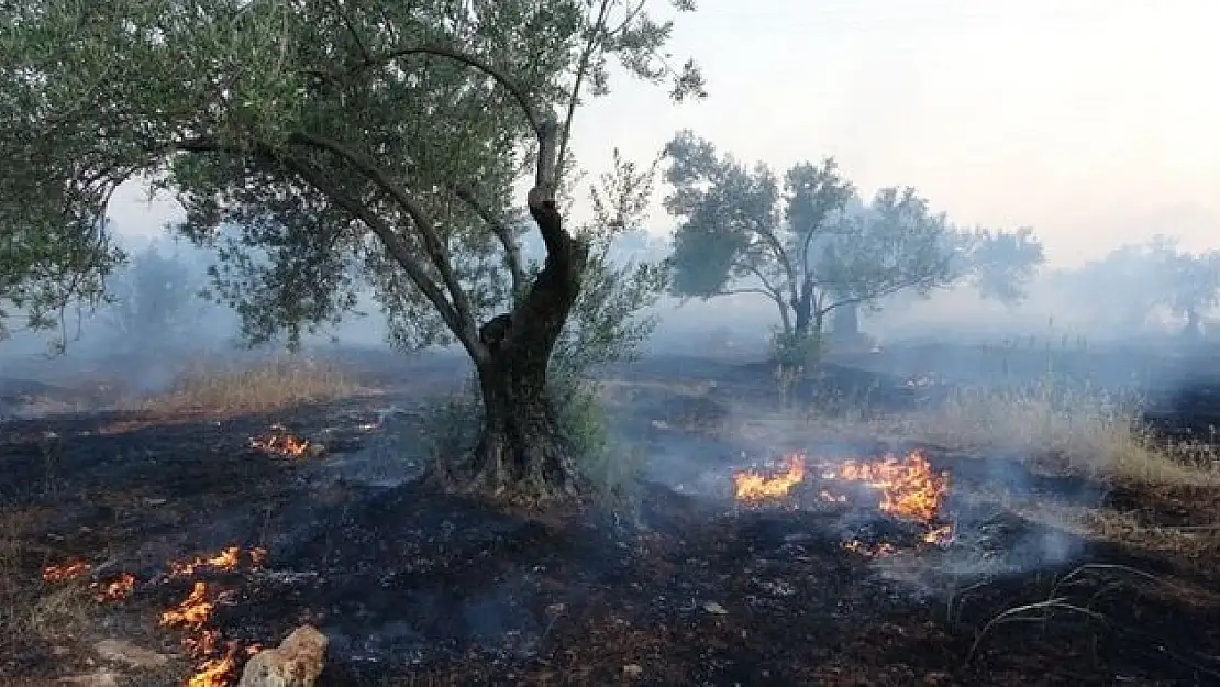 Torbalı’da yangın paniği