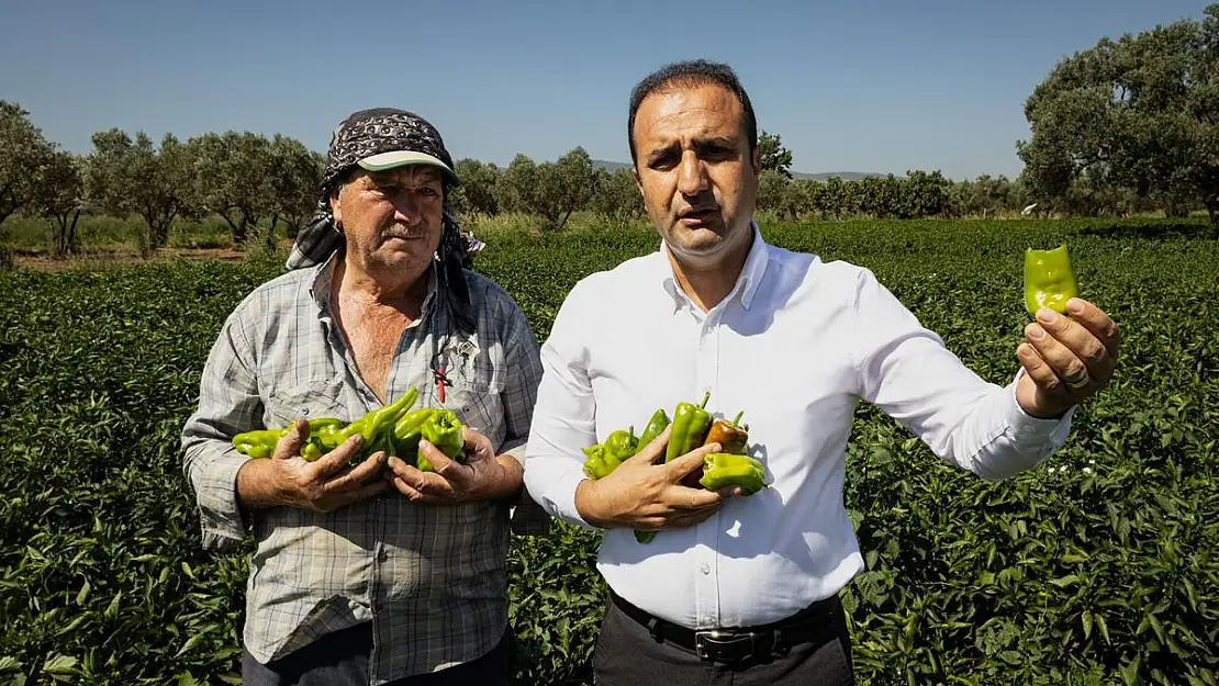 Torbalı'dan isota rakip çıktı