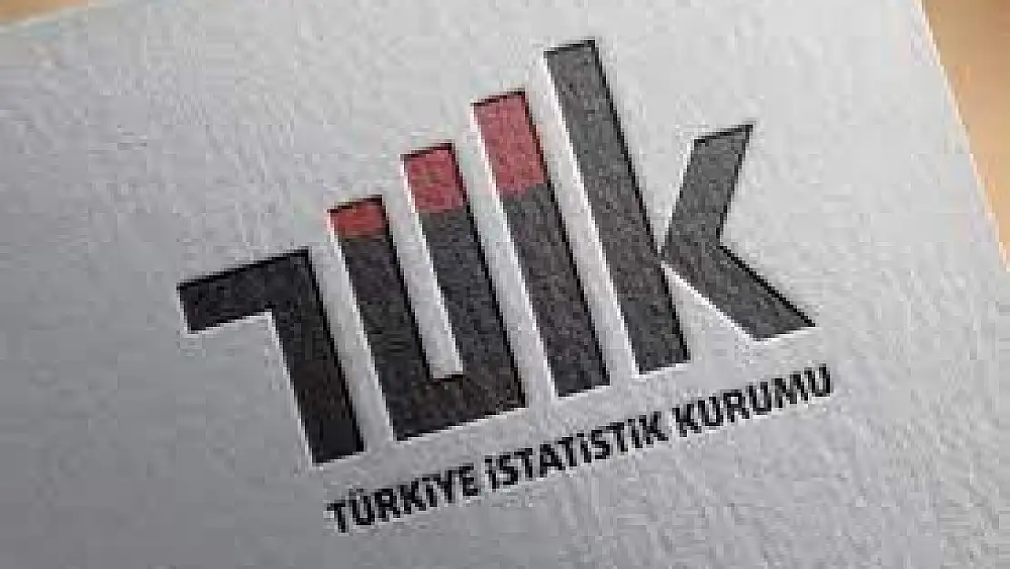 TÜİK, Finansal yatırım araçlarının getiri oranlarını açıkladı