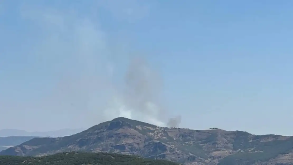 Tunceli'de orman yangını: Müdahale sürüyor