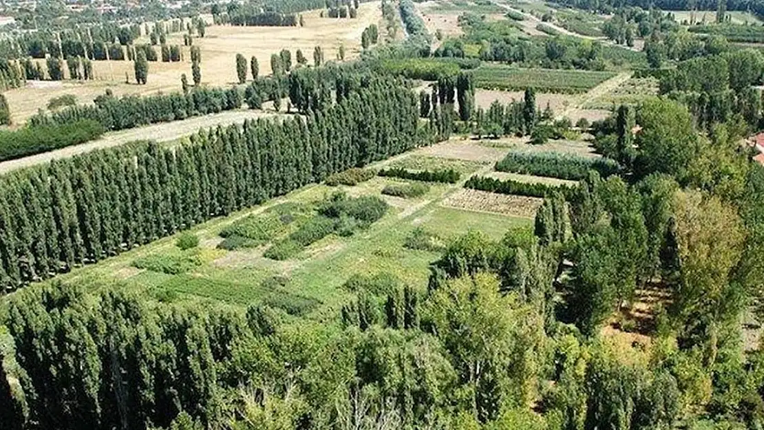 ‘Türk-İş genel merkezini Atatürk Orman Çiftliği’ne yapmak istiyor’