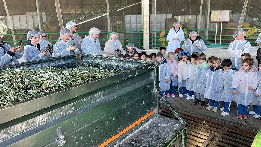 Türk zeytin zeytinyağı sektörü İspanya ile masaya oturdu