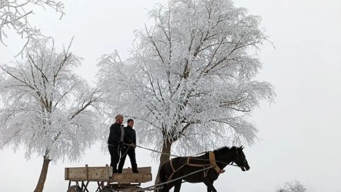 Türkiye’de hava sıcaklığı en düşük il belli oldu