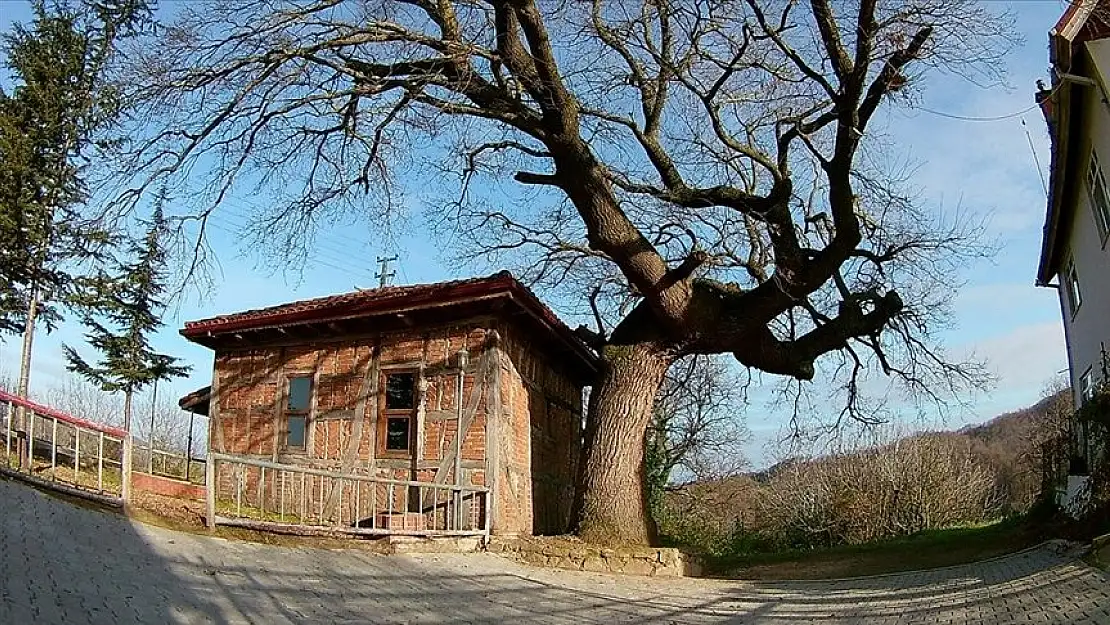 Türkiye’nin en küçük mescitlerinden biri ibadete açıldı!