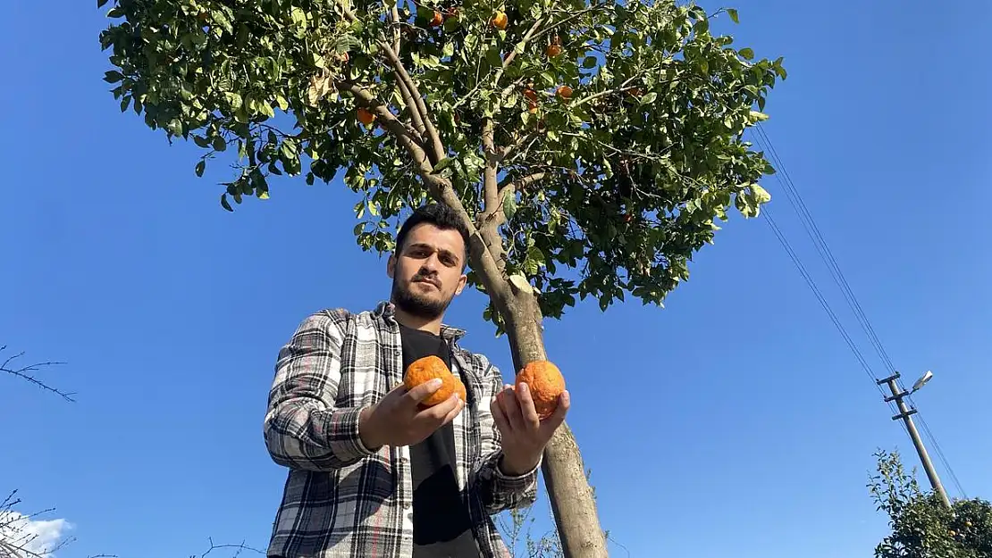 Turunçlar sokağa döküldü, vatandaş isyan etti