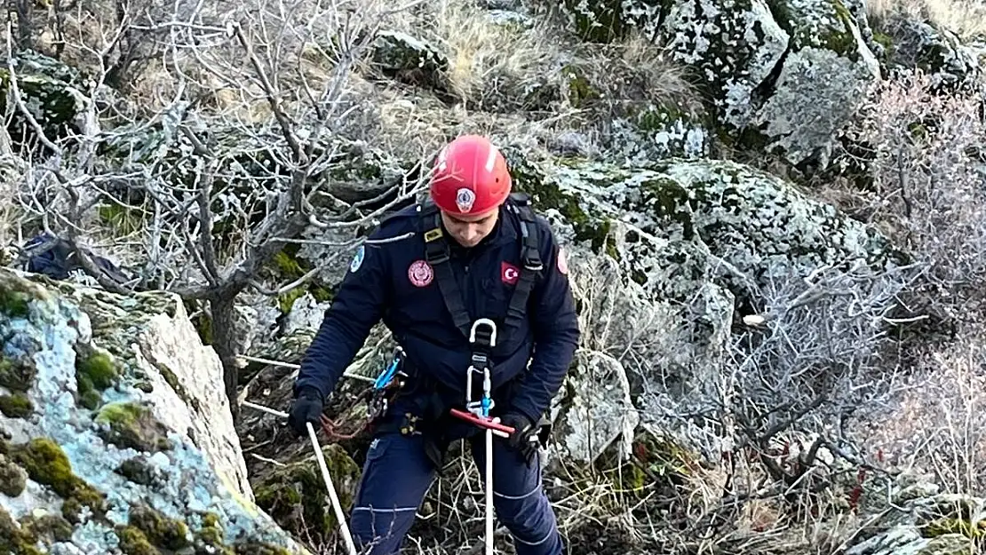 Uçuruma yuvarlanan keçiler kurtarıldı!