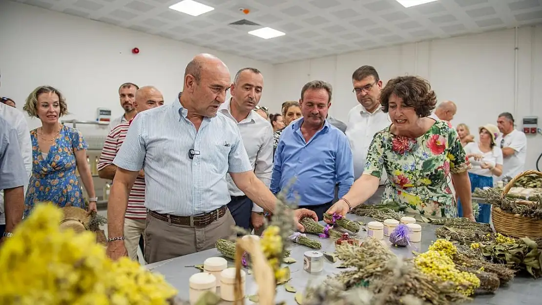 Ulaşmış'ta aromatik bitkiler işleniyor