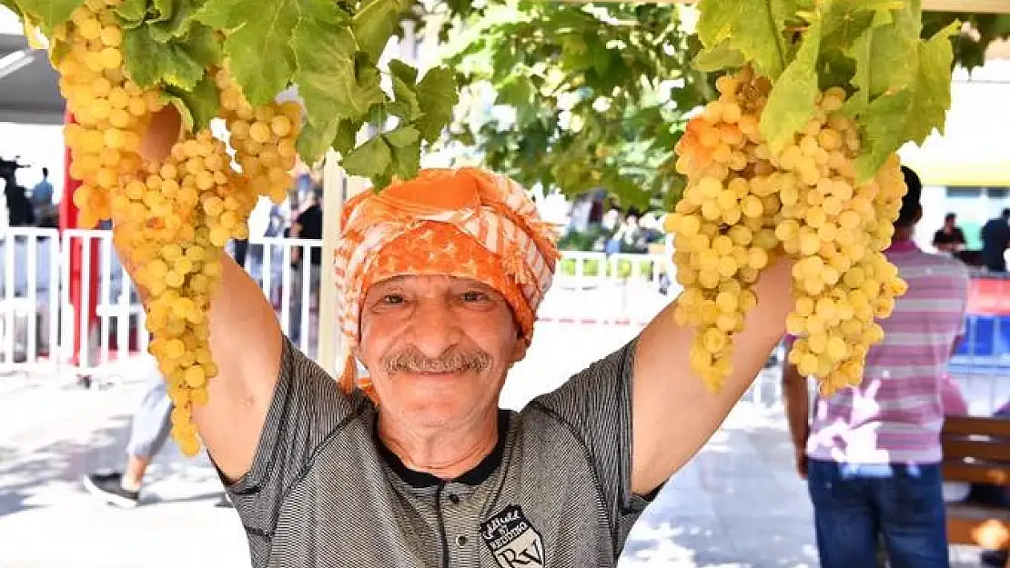 Urla Bağbozumu Şenlikleri yarın başlıyor