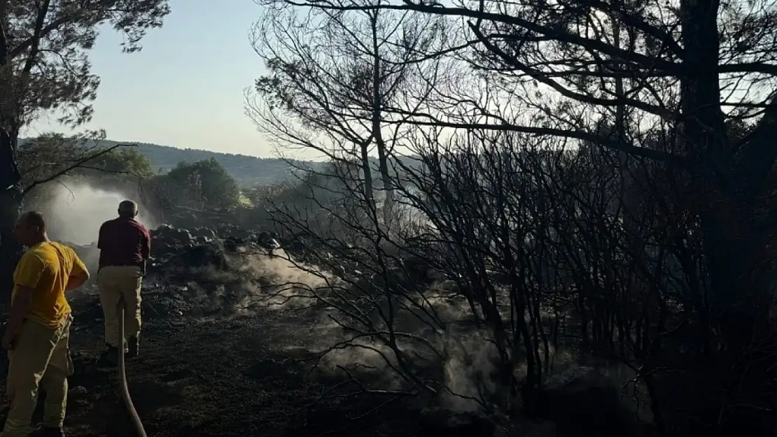 Urla'daki orman yangınına neden olan şahıs tutuklandı