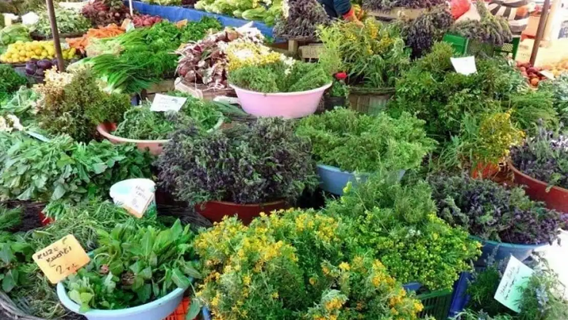 Urla, geleneksel Mart Dokuzu Urla Ot Bayramı ile baharı karşılayacak