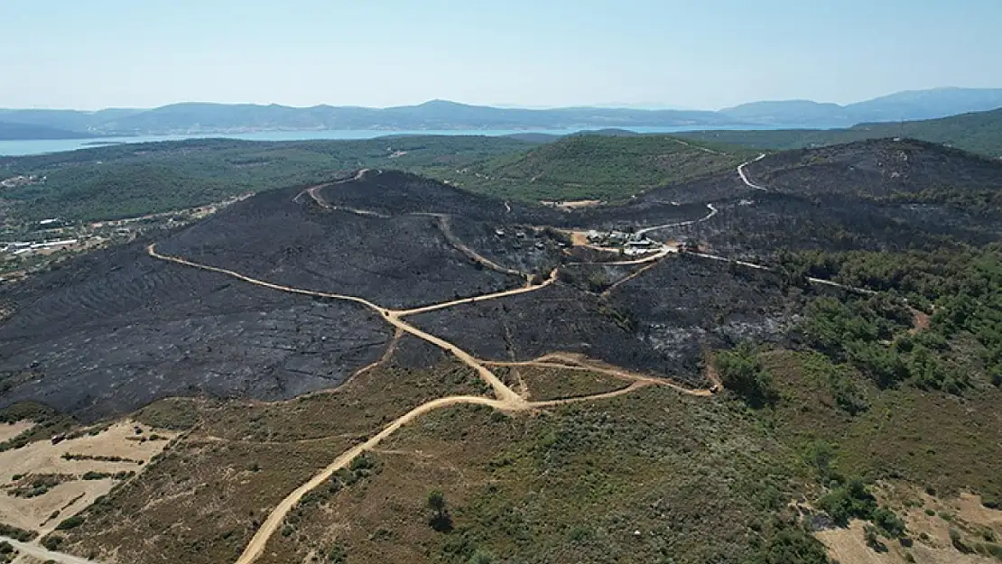 Urla Meclisi'nden Başkan Balkan'a ağaçlandırma yetkisi