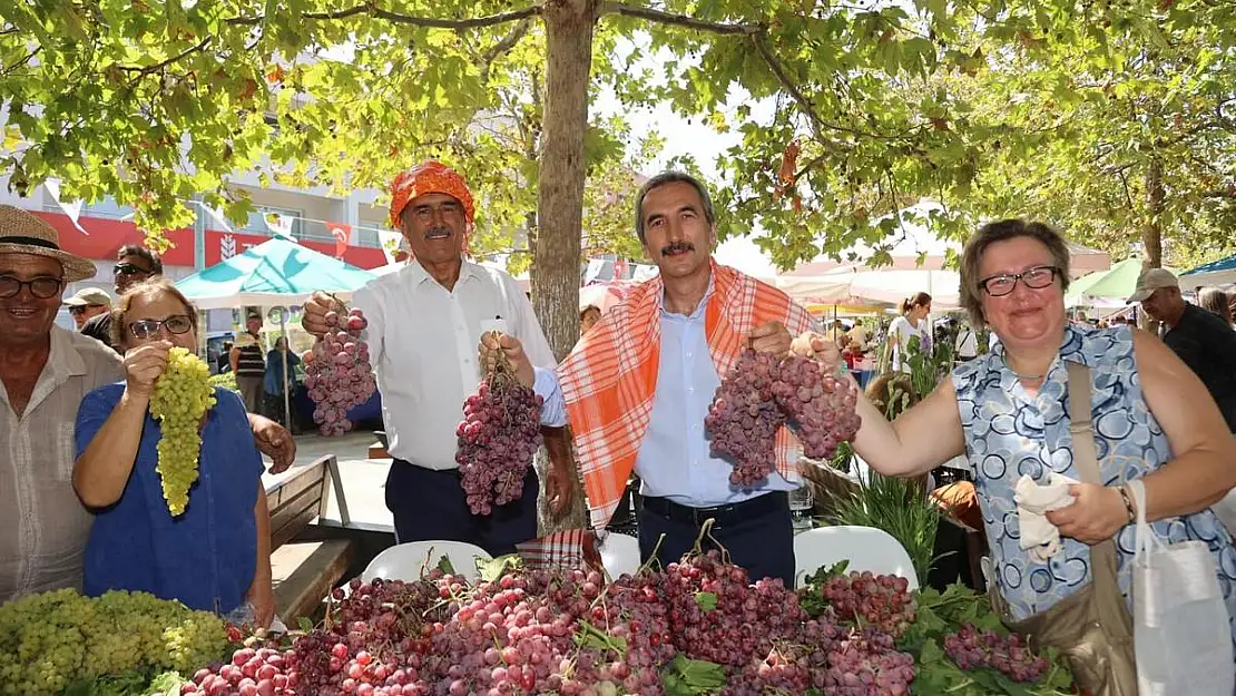 Urla'da Bağbozumu Zamanı