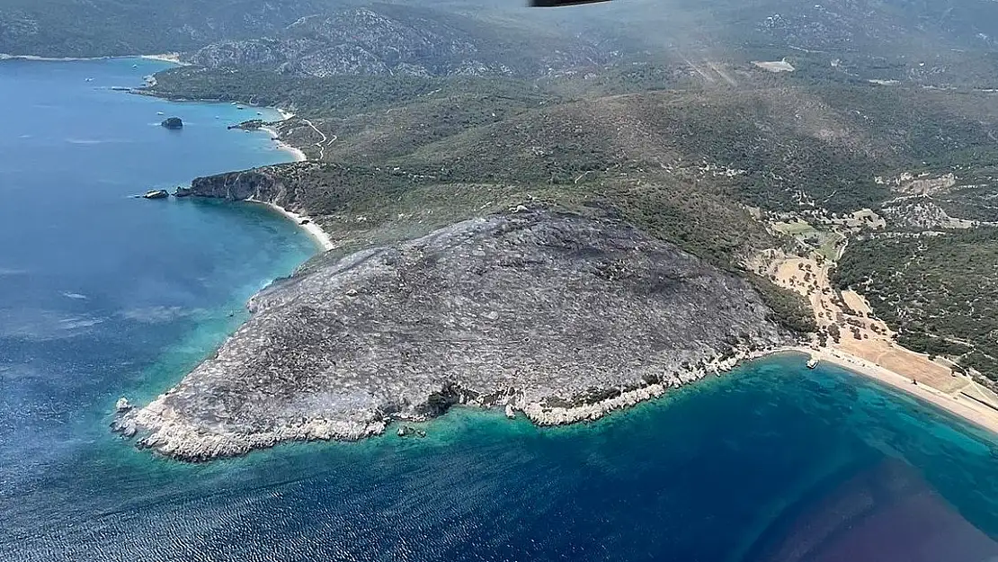 Urla’daki yangın kontrol altına alındı