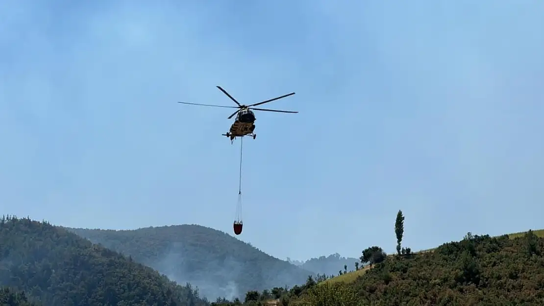 Uşak'taki orman yangınına müdahale sürüyor