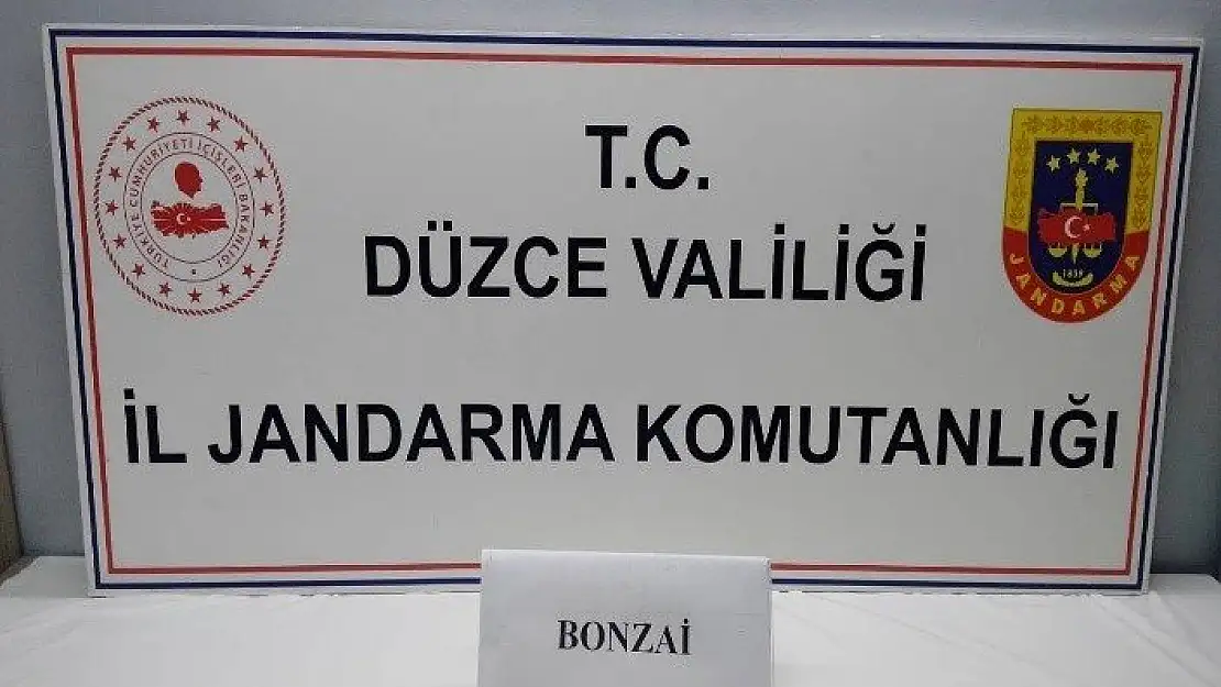 Uyuşturucuya geçit yok! 13 kişi tutuklandı…