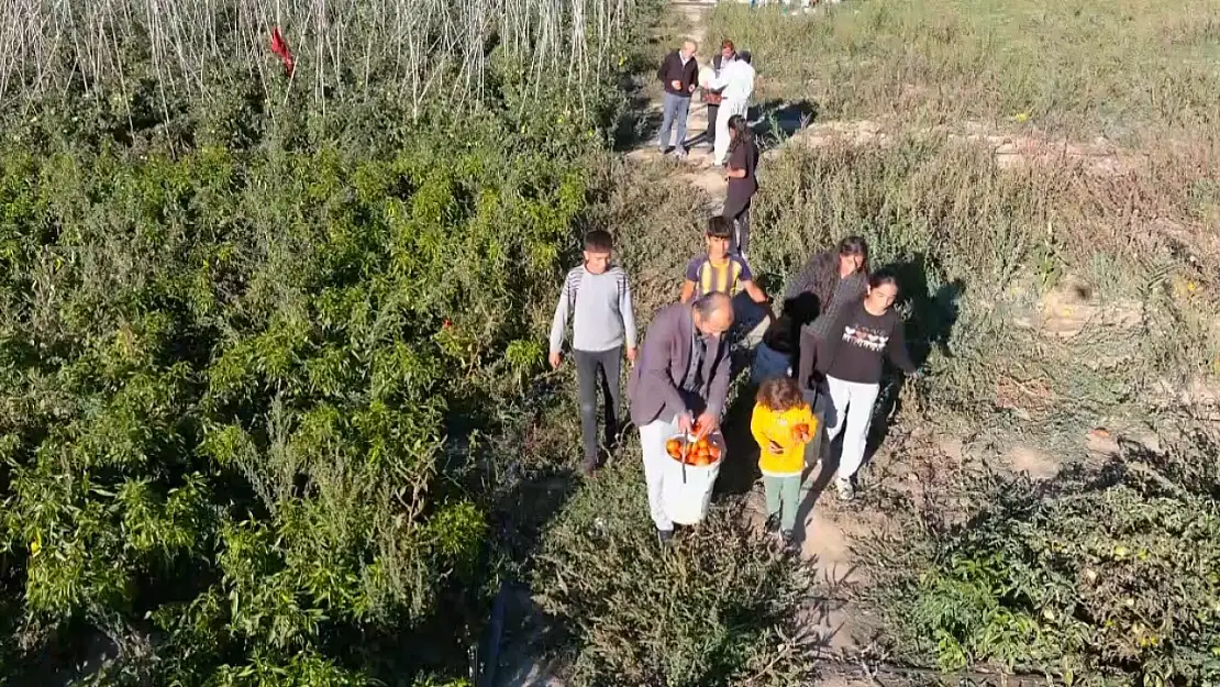 Vatandaş pazarı manavı unuttu: Artık doğrudan tarlaya gidiyor!