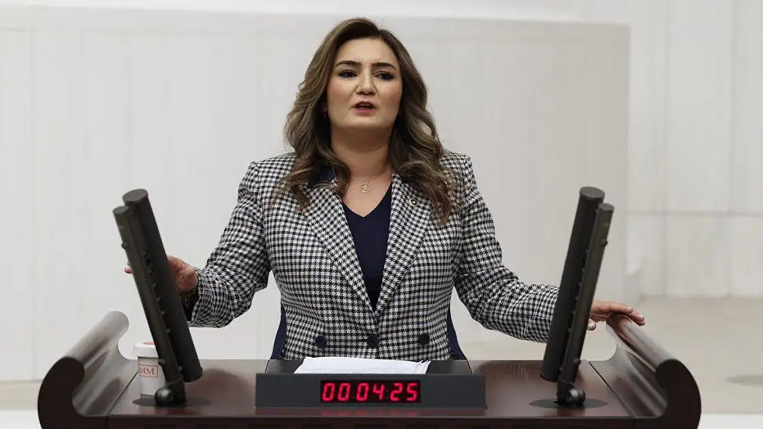 Vekil Kılıç, önerge verdi, milletvekillerine adeta yalvardı: Gençlerin geleceği için...