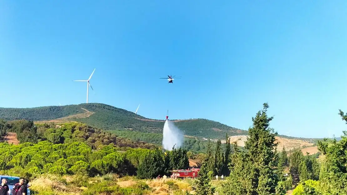 Yalova'da iki noktada çıkan orman yangınları ile ilgili soruşturma başlatıldı