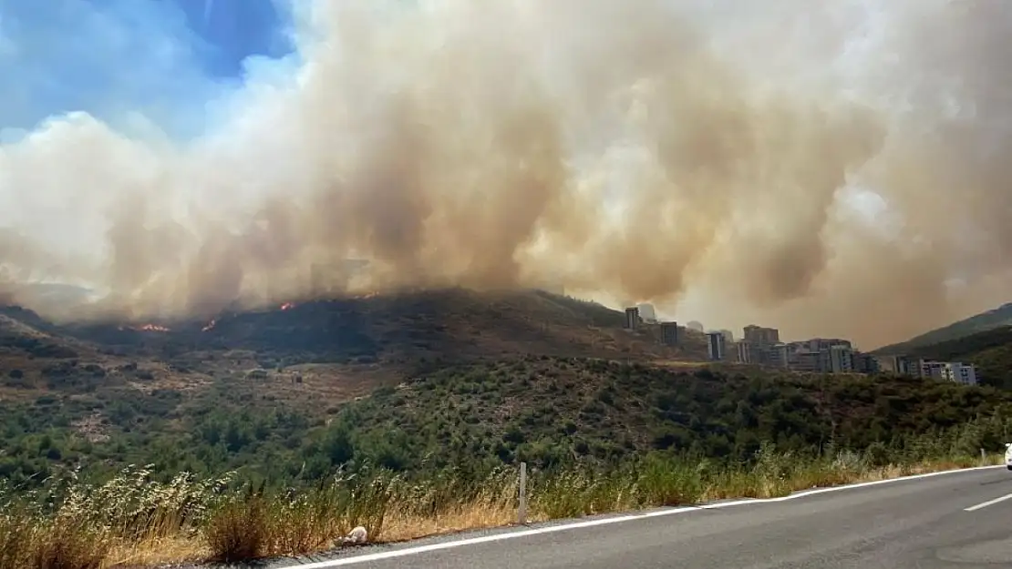 İzmir'deki orman yangını yerleşim yerlerine yaklaştı