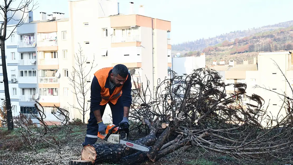 Yangın yaraları sarılıyor: Çiğli yeniden yeşeriyor!