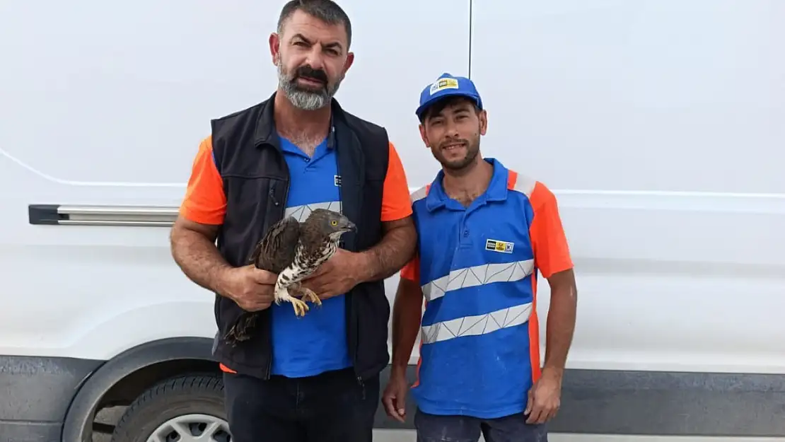 Yaralı kızıl şahine şefkat eli değdi