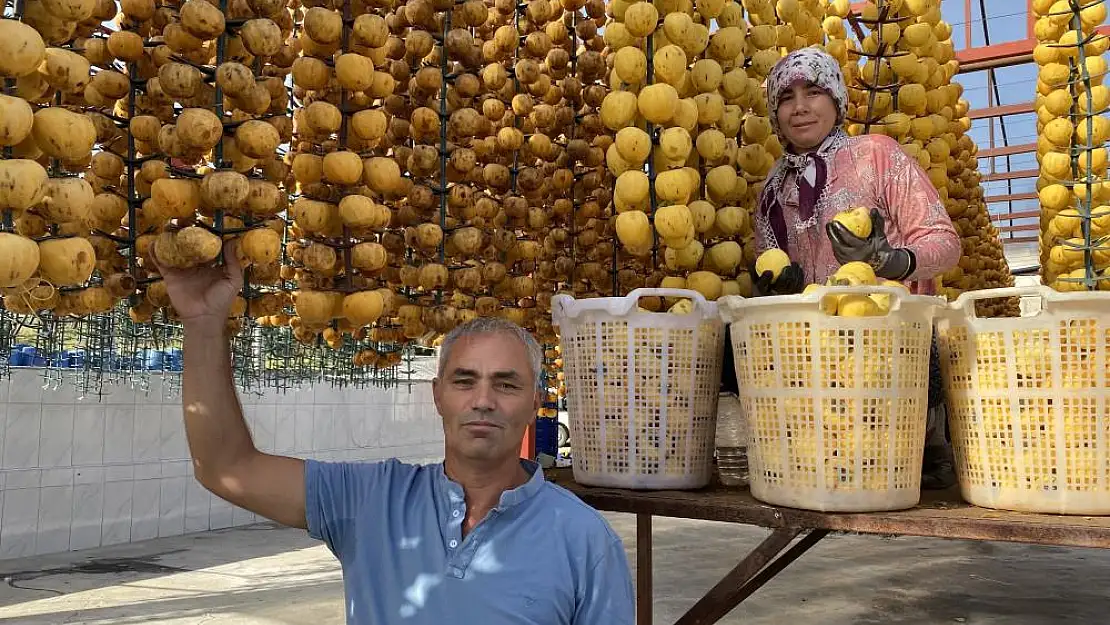 Yaşı 15, kurusu 200 TL’den satılıyor