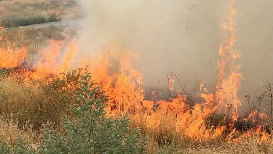 Yazın gelmesiyle otlar kuruyor, yangın tehlikesi artıyor