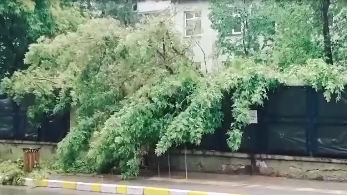 Yıldırım çarpan bir çocuk hayatını kaybetti