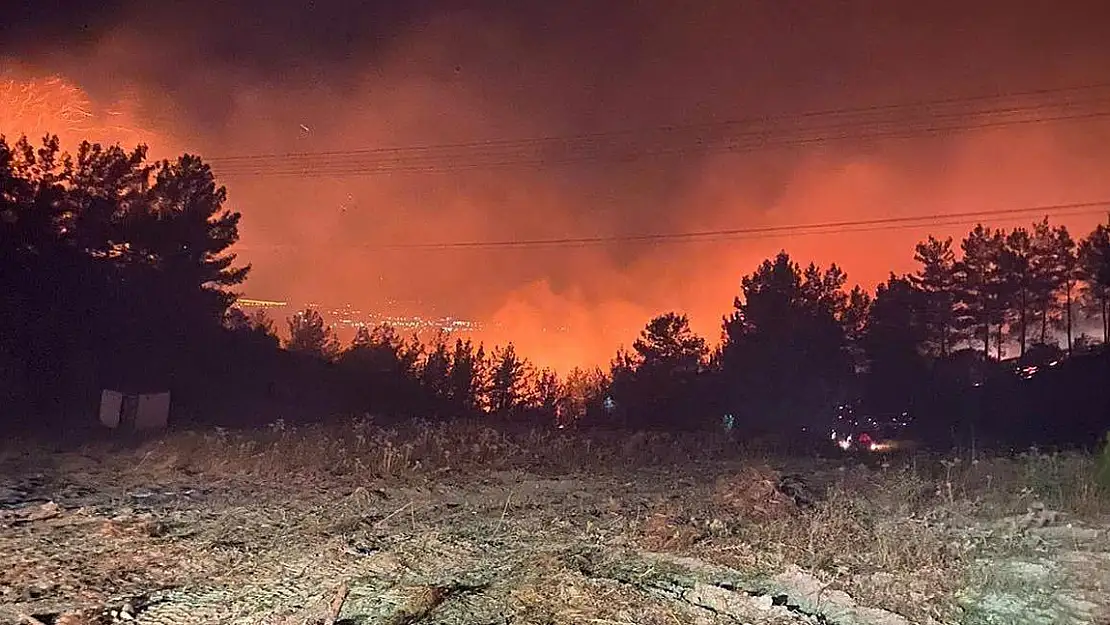 Yine sigara izmariti yine orman yangını!