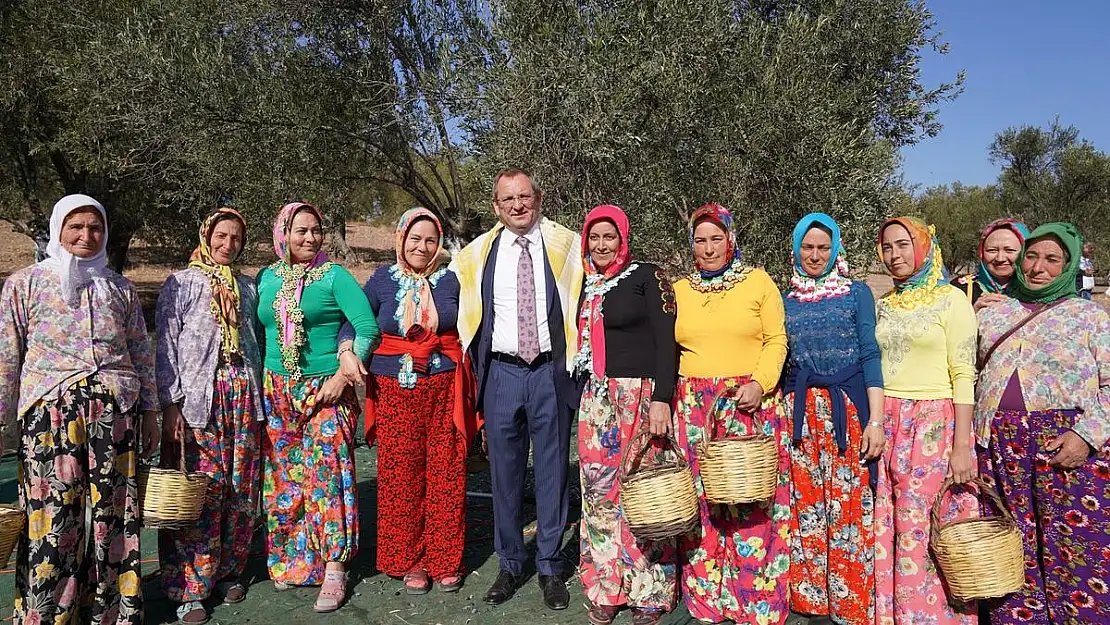 Zeytin Hasat Festivali'ne yoğun ilgi