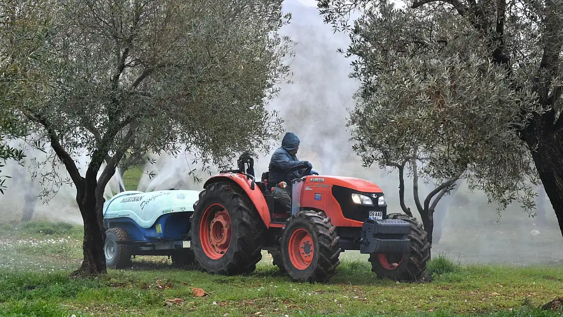 Zeytin üreticisine can suyu: Hastalıkla mücadelede büyük destek