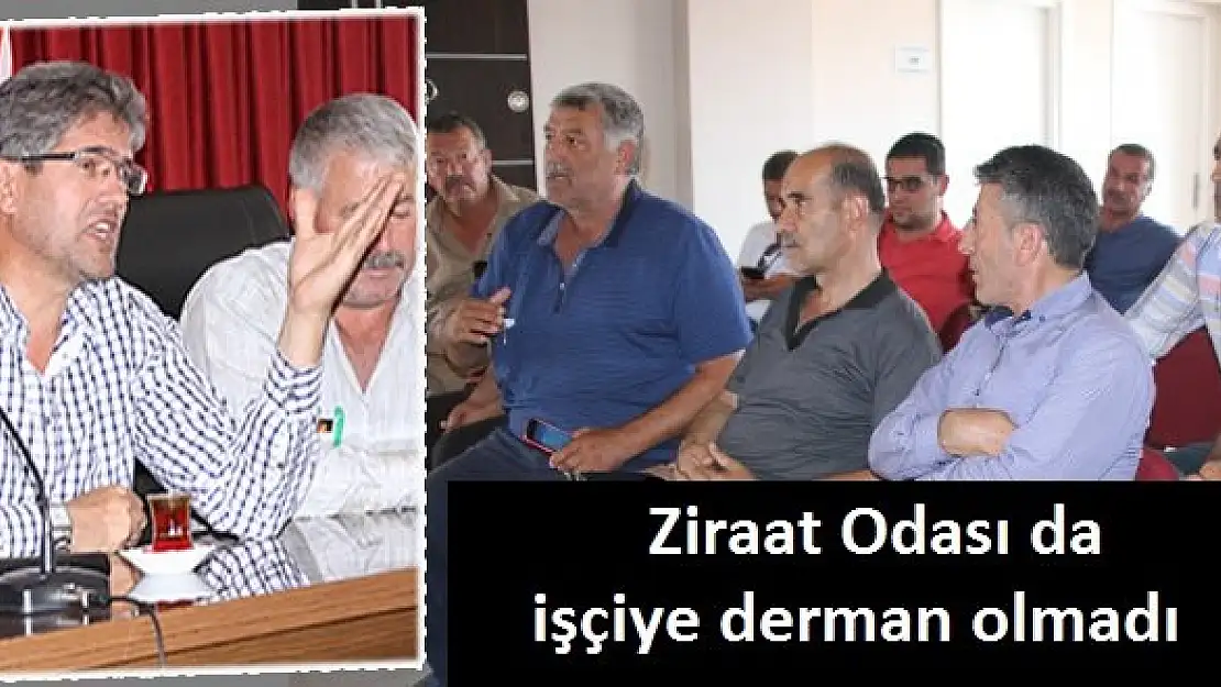 Ziraat Odası da tarım işçisine derman olmadı