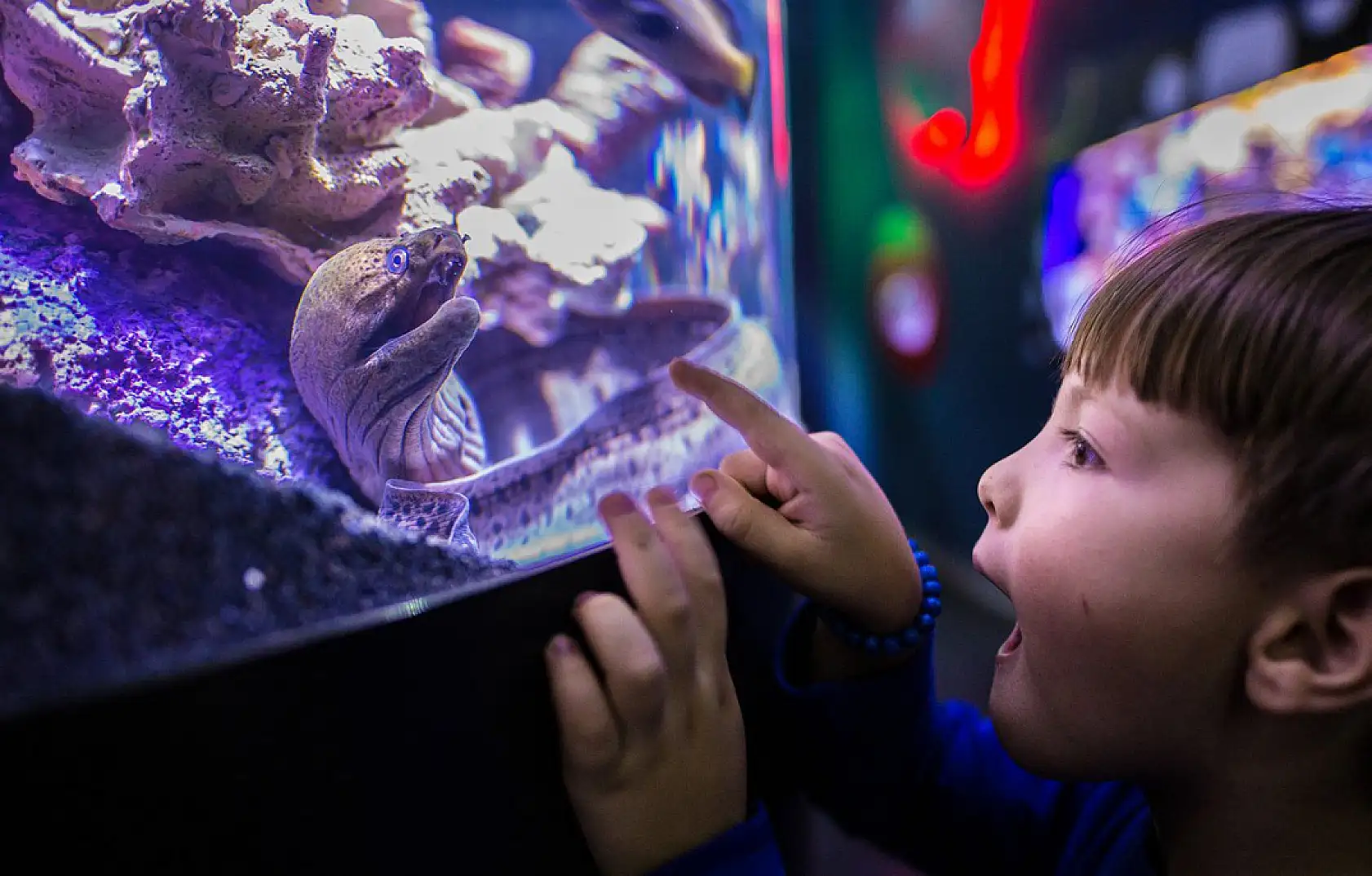 Funtastic Aquariums İzmir ziyaretçilerini bekliyor!
